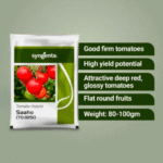 Syngenta - Image 3